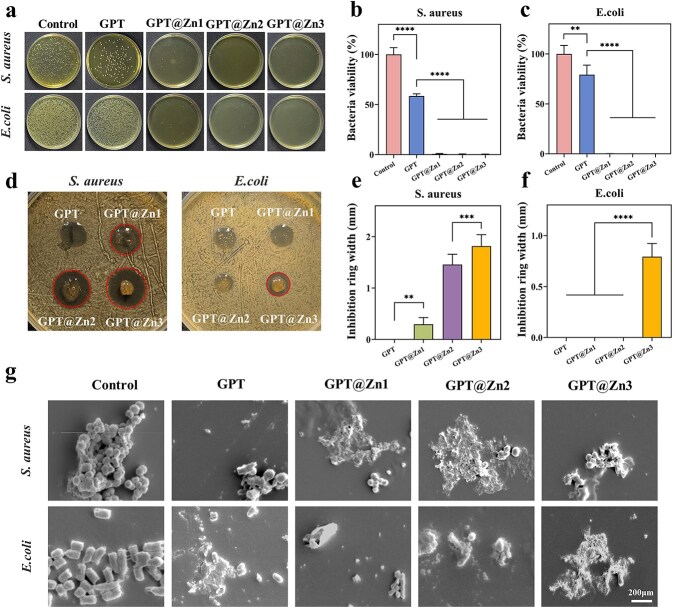 Zn ion-incorporated injected hydrogels with reactive oxygen species and glucose scavenging capacity for diabetic wound healing.