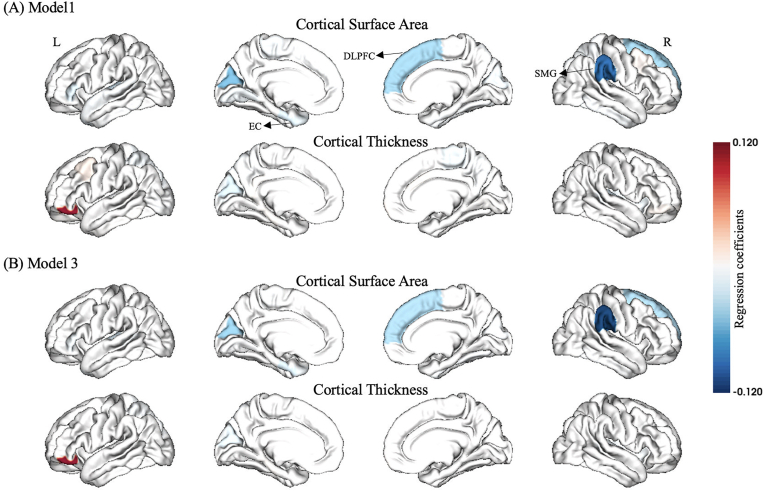 Neuroanatomical prediction of individual anxiety problems level using machine learning models: A population-based cohort study of young adults