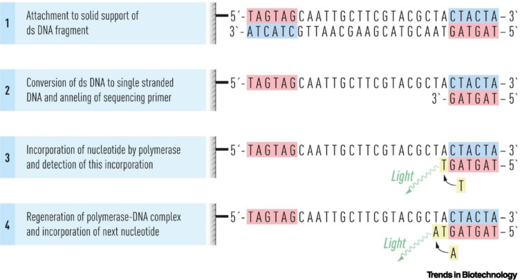 Recent advances in the methods and clinical applications of next-generation sequencing in genomic profiling and precision cancer therapy.