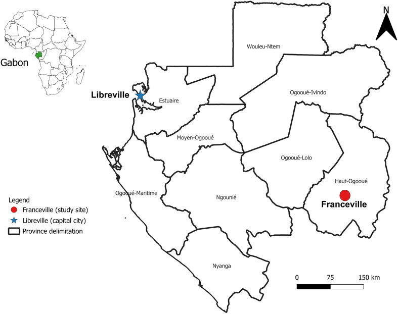 Bioassay tests reveal for the first time pyrethroid resistance in Aedes mosquitoes from Franceville, southeast Gabon, Central Africa.