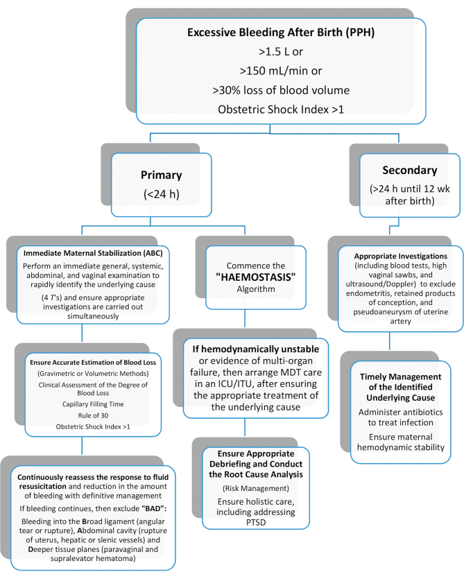 Recognition and Management of Postpartum Hemorrhage.