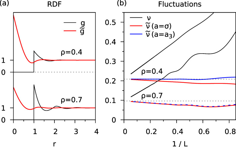 How to Compute Density Fluctuations at the Nanoscale.