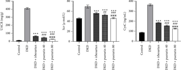 Puerarin Attenuates Podocyte Damage in Mice With Diabetic Kidney Disease by Modulating the AMPK/Nrf2 Pathway.