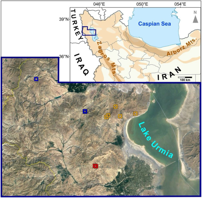 A new species of Astragalus (Fabaceae) from the Irano-Turanian biodiversity hotspot: an integrative approach.