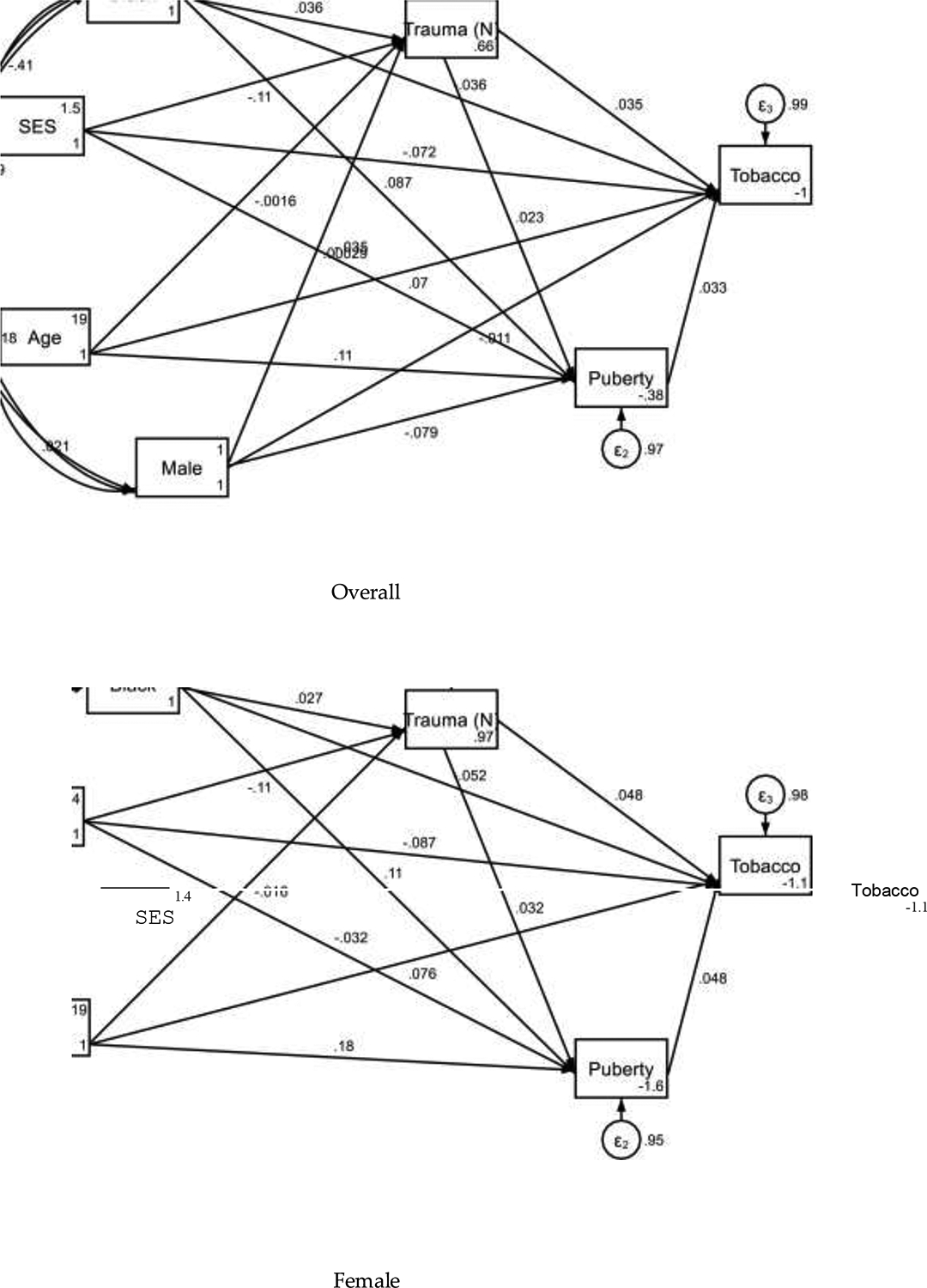 Trauma and Early Puberty May Be Stronger Predictors of Early Tobacco Initiation in Girls Compared to Boys.