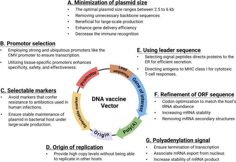 Advances in nucleic acid-based cancer vaccines.
