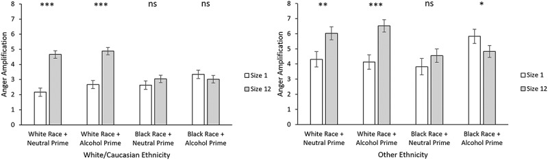 The effects of race, gender, and alcohol cues on anger perception in crowds.