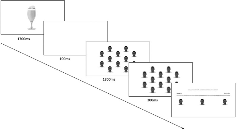The effects of race, gender, and alcohol cues on anger perception in crowds.