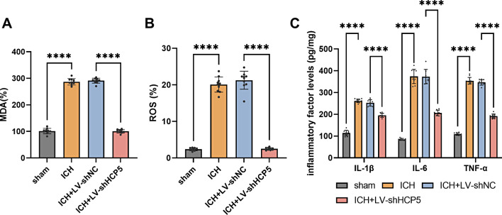 Protective effect of silencing lncRNA HCP5 against brain injury after intracerebral hemorrhage by targeting miR-195-5p.