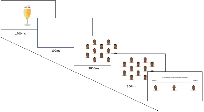 The effects of race, gender, and alcohol cues on anger perception in crowds.