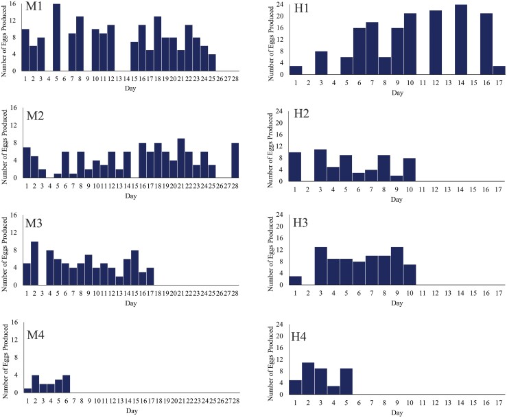 The life history and mosquito consumption dynamics of Notonecta indica (Hemiptera: Notonectidae) in eastern Jamaica.