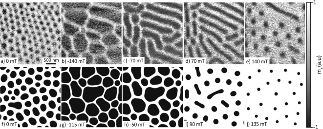 Investigating skyrmion stability and core polarity reversal in NdMn<sub>2</sub>Ge<sub>2</sub>.