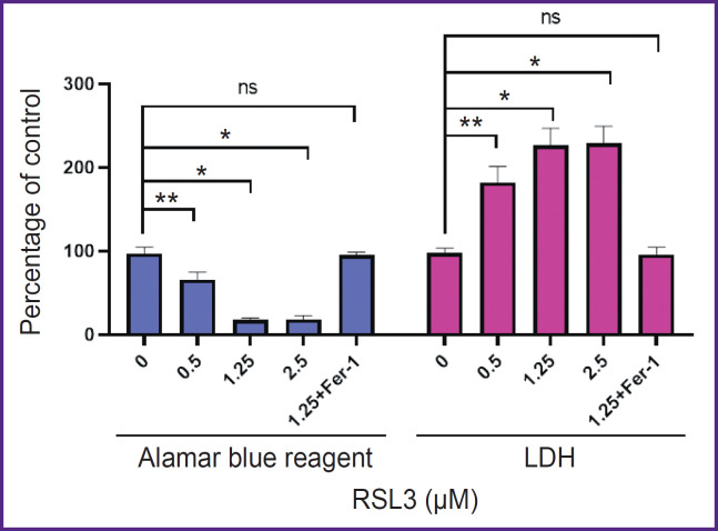 Regulation of Ferroptosis in Human Macrophage by Nitric Oxide Donors.