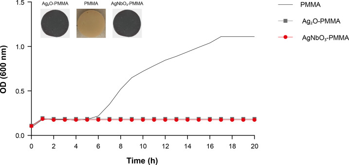Mode of action of silver-based perovskite against Gram-negative bacteria.