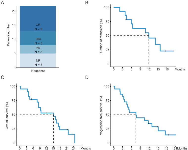 Pegylated Liposomal Doxorubicin Combined with Cytarabine and Granulocyte Colony-Stimulating Factor for Treating Newly Diagnosed Older and Unfit Acute Myeloid Leukemia Patients: A Prospective, Single-Center, Single-arm, Phase II Study.