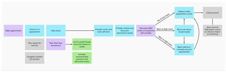 An Innovative Clinic-Based Intervention to Improve Adolescent Access to Sexual and Mental Health Services: The Total Teen Program.