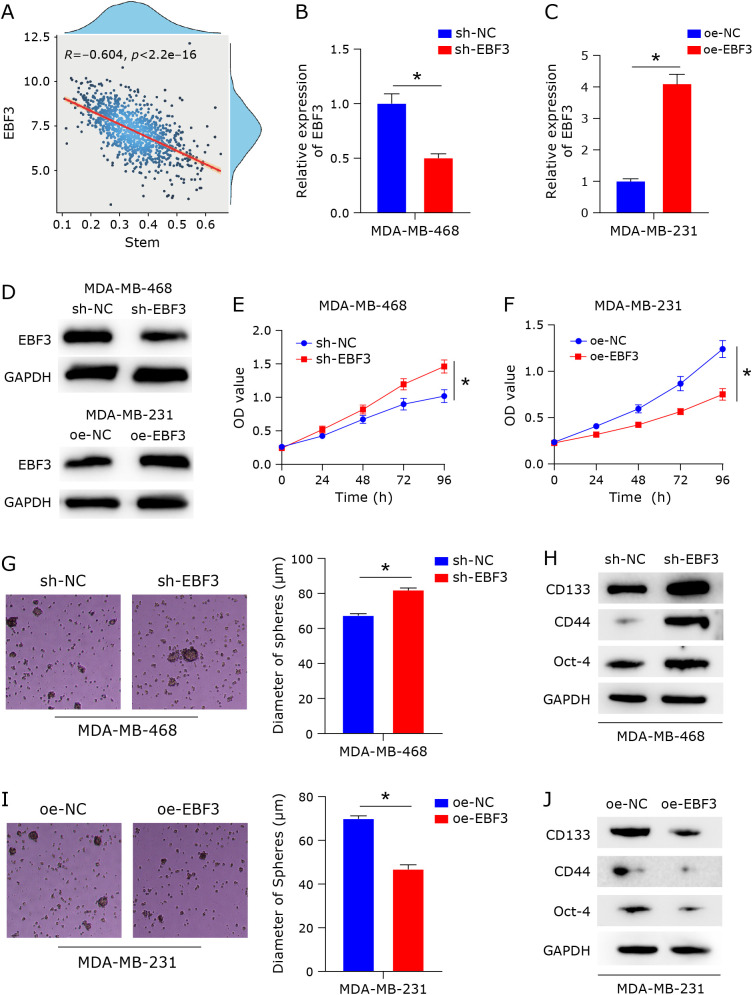 MiR-301b-3p targets and regulates EBF3 to impact the stem-like phenotype of breast cancer cells through glycolysis.