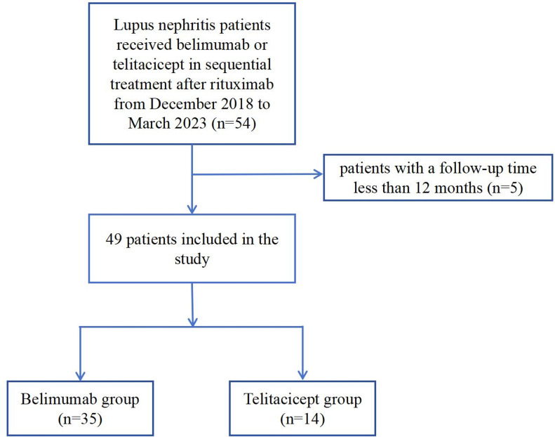 Belimumab versus telitacicept in sequential treatment after rituximab for refractory lupus nephritis: a real-world multicentre study.