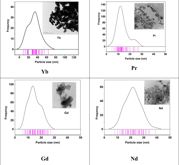 Impact of Gd, Pr, Yb, and Nd doping on the magnetic properties of Mg-ferrite nanoparticles