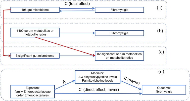 Unraveling the role of gut microbiota and plasma metabolites in fibromyalgia: Insights from Mendelian randomization and dietary interventions.