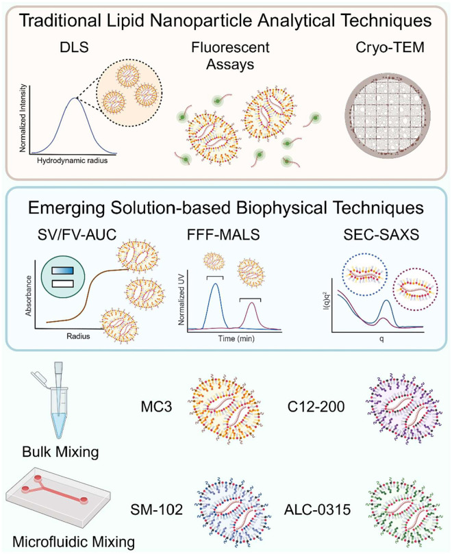 Elucidating lipid nanoparticle properties and structure through biophysical analyses.