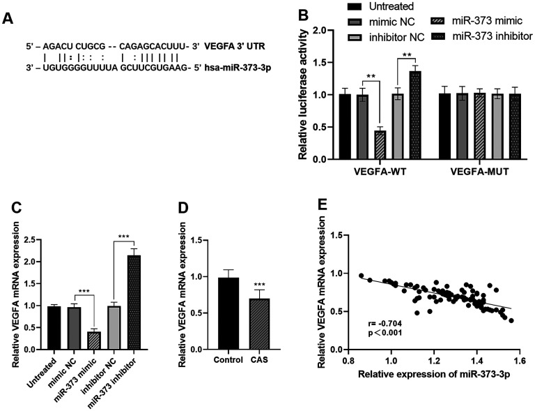 Clinical Value and Potential Molecular Mechanism of miR-373-3p in Coronary Atherosclerosis.