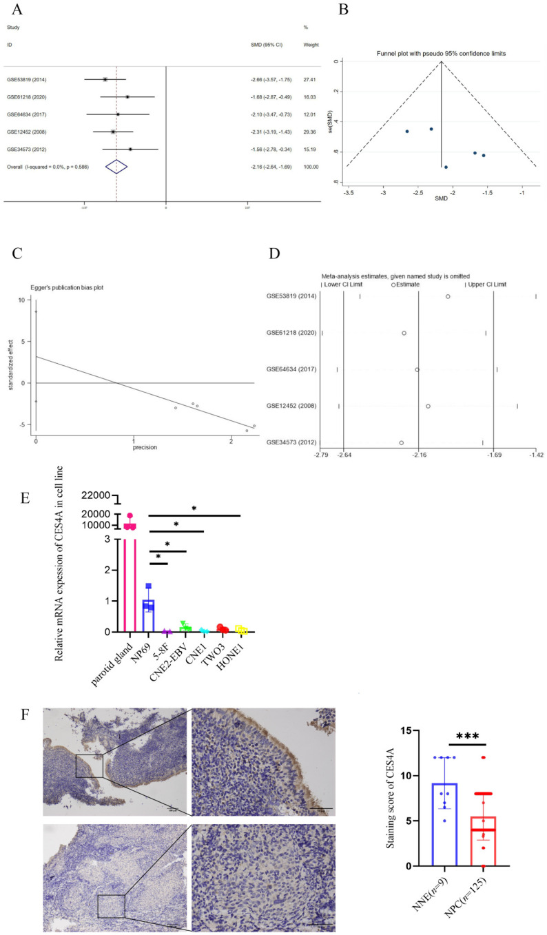 Carboxylesterase 4A Inhibits the Malignant Biological Behavior of Nasopharyngeal Carcinoma via the PI3K/AKT Pathway.