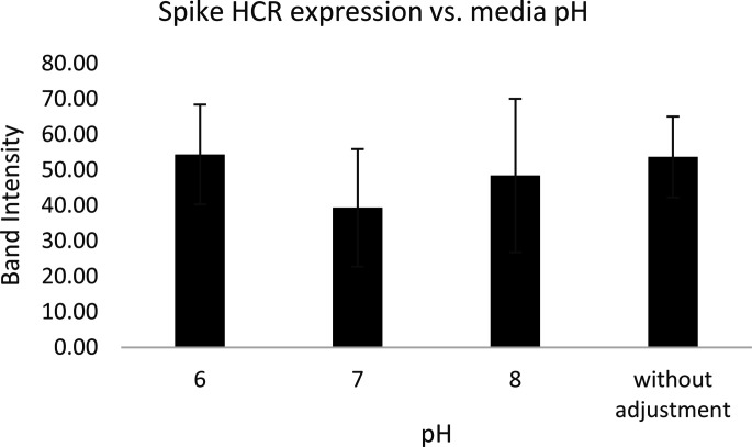 Optimization of growth conditions and the inducer concentration for increasing spike protein expression in recombinant <i>Lactococcus lactis</i> and its kinetic modeling.