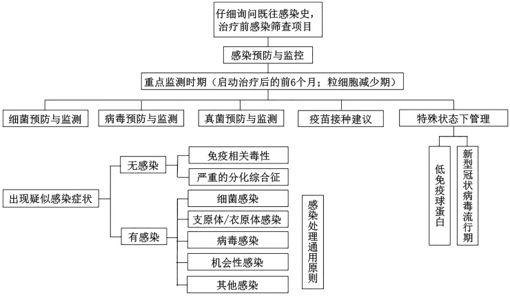 [Chinese expert consensus on prevention and treatment of immunotherapeutic and molecular targeted agents-related infections in patients with hematological malignancies (2025)].
