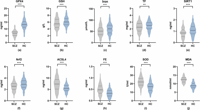 The role of ferroptosis and oxidative stress in cognitive deficits among chronic schizophrenia patients: a multicenter investigation.