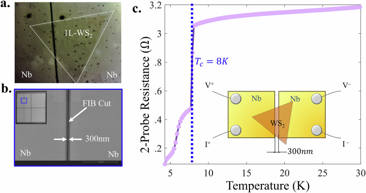 Andreev pair injection into a transition metal dichalcogenide monolayer.