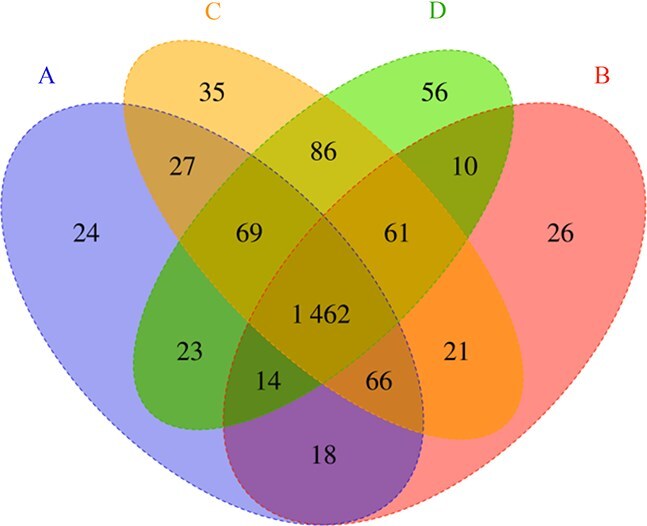 Descriptive analysis of protein expression variations during pupal development of <i>Chrysomya megacephala</i> (Diptera: Calliphoridae) using label-free proteomic techniques.