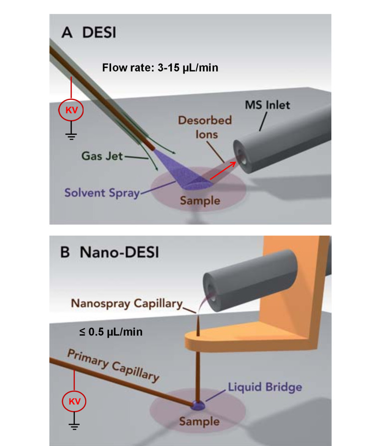 [Recent progress in mass spectrometry imaging using nanospray desorption electrospray ionization].