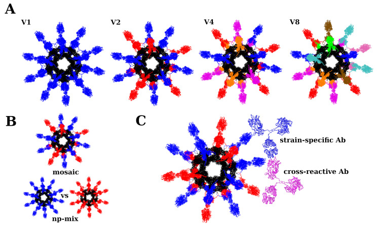 Phenomenological Modeling of Antibody Response from Vaccine Strain Composition.