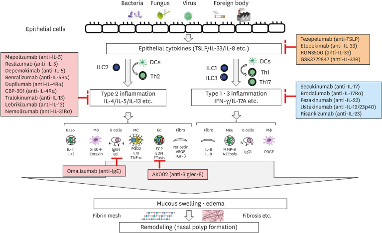Personalized Medicine in Chronic Rhinosinusitis: Treatable Traits Using Biologics for Unmet Needs.