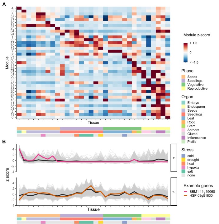 The rice genome annotation project: an updated database for mining the rice genome.