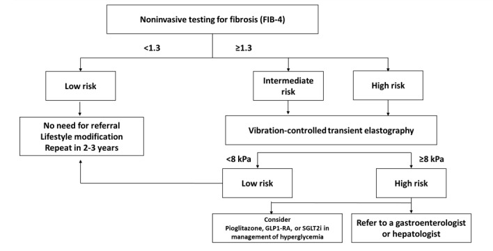 A Consensus Report on Management of Type 2 Diabetes Mellitus in Iran.