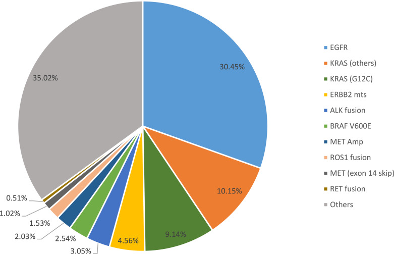 Genomic Landscape of Advanced Solid Tumors in Middle East and North Africa Using Circulating Tumor DNA in Routine Clinical Practice.