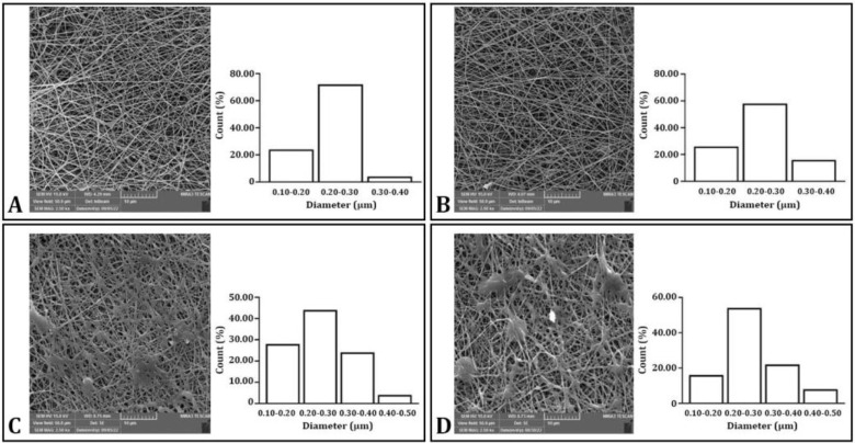 Evaluation of effects of vancomycin/polycaprolactone nanocomposite in comparison with curcumin/polycaprolactone on the healing of experimental osteomyelitis in rabbit tibia.