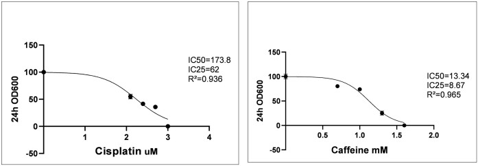A novel method for telomere length detection in fission yeast.