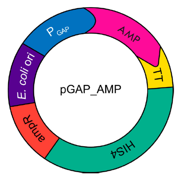 Heterologous Production of Antimicrobial Peptides in Yeast Allows for Massive Assessment of the Activity of DNA-Encoded Antimicrobials In Situ.