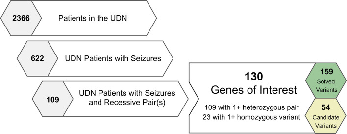 Enriched phenotypes in rare variant carriers suggest pathogenic mechanisms in rare disease patients.
