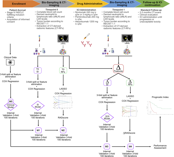 Longitudinal Changes of CT-radiomic and Systemic Inflammatory Features Predict Survival in Advanced Non-Small Cell Lung Cancer Patients Treated With Immune Checkpoint Inhibitors.