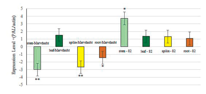 Tissue-Specific Antioxidant Responses and <i>PAL</i> Gene Expression in Bread Wheat Under Drought Stress.