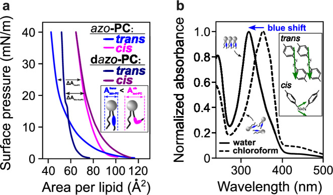 Photoswitchable phospholipids for the optical control of membrane processes, protein function, and drug delivery.