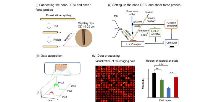 [Recent progress in mass spectrometry imaging using nanospray desorption electrospray ionization].