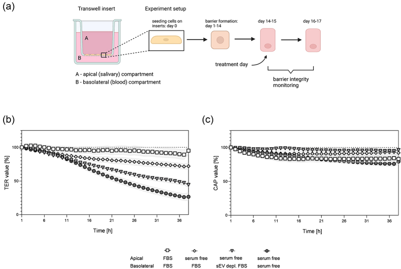 Effects of small extracellular vesicles derived from normoxia- and hypoxia-treated prostate cancer cells on the submandibular salivary gland epithelium <i>in vitro</i>.
