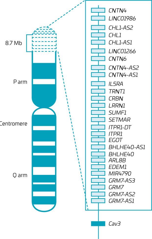 First report of hypoplastic left heart syndrome in 3p- syndrome and review of candidate genes.