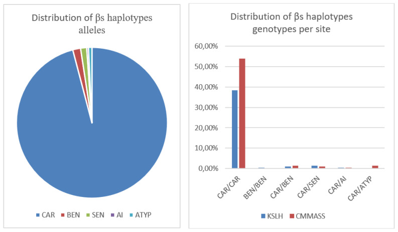 Genetic Modulators of Diversity in the Biological Expression of Sickle Cell Anemia in Patients from Democratic Republic of Congo: Role of βs-globin Haplotypes.