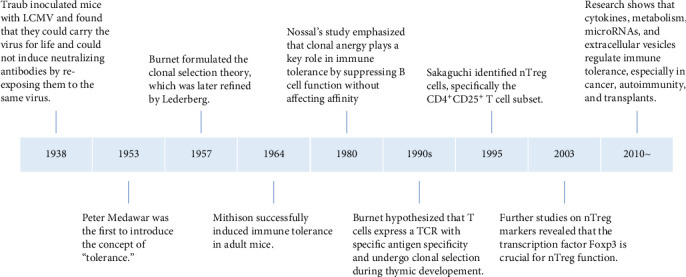 Immune Tolerance Regulation Is Critical to Immune Homeostasis.
